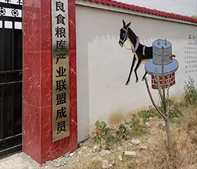 巨鑫公司旗下匪石石磨面厂区一角